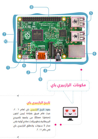 كتاب احتراف الرازبيري باي (تحميل وقراءة)