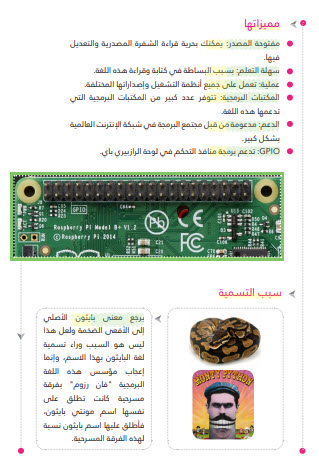 كتاب احتراف الرازبيري باي (تحميل وقراءة)